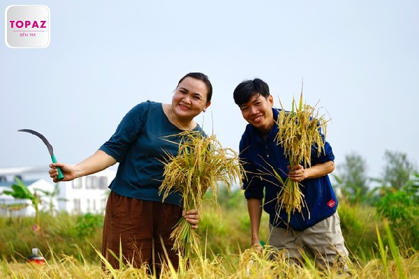 Những cánh đồng lúa trải dài huyện Ba Tri