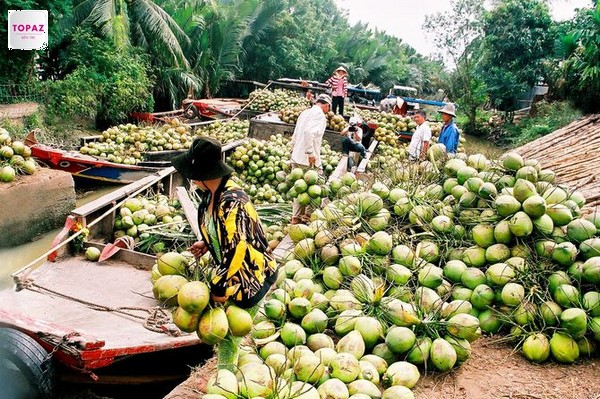 Lịch sử hình thành huyện Chợ Lách